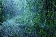 The 'Once-in-300-Years' Rain: Why Nobody Saw It Coming (Or Claimed They Didn't)