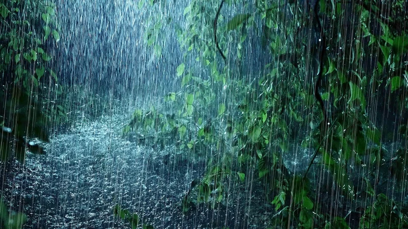 The 'Once-in-300-Years' Rain: Why Nobody Saw It Coming (Or Claimed They Didn't)